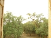 imgp2076.jpg